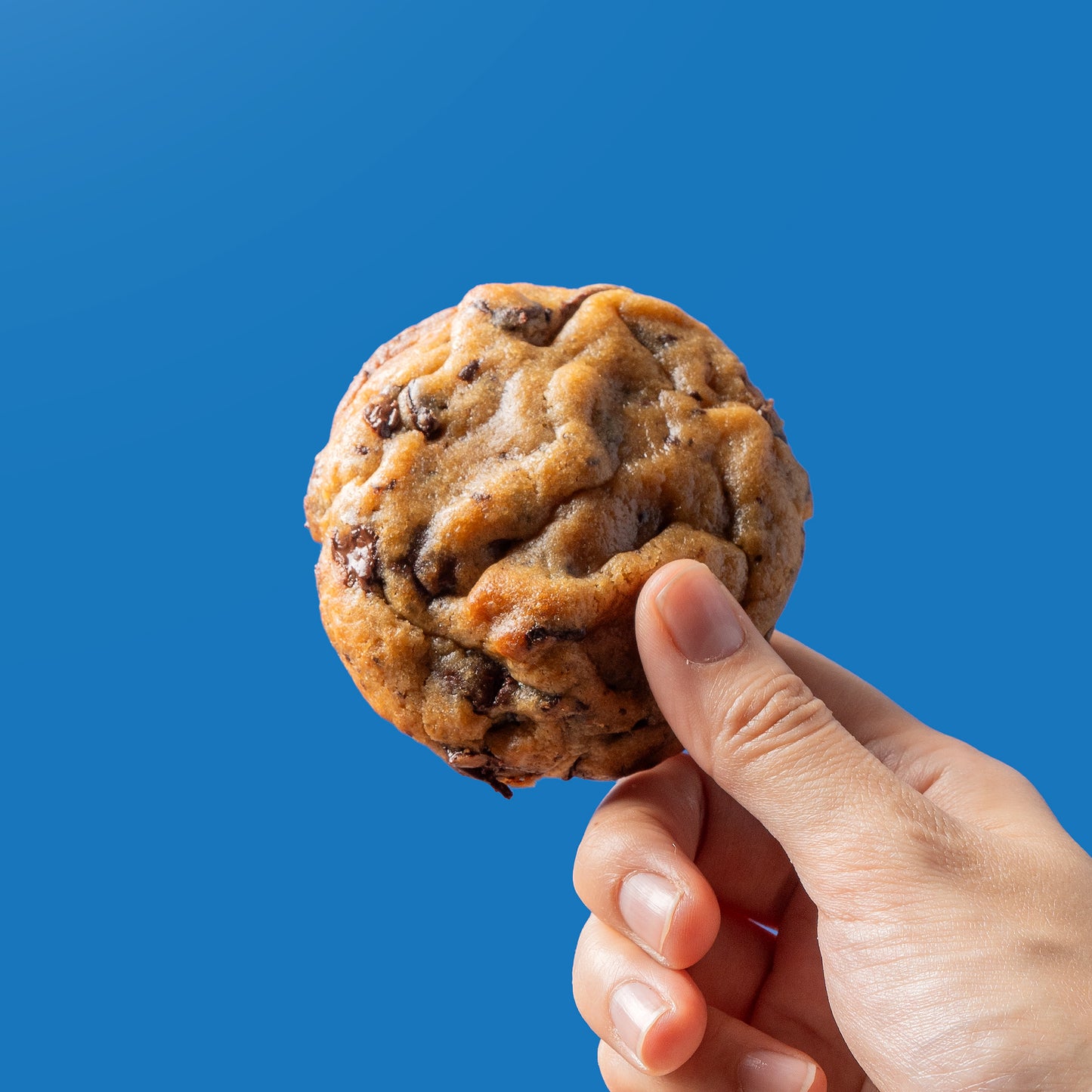 Cosmic Cookie